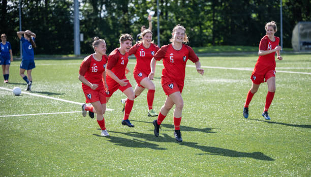 锐的洞察力 锐的洞察力